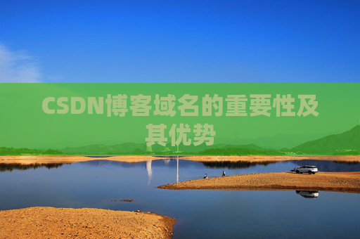 CSDN博客域名的重要性及其优势